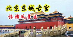 男人捅女人小穴视频网视中国北京-东城古宫旅游风景区