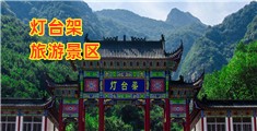 女的逼视频网站